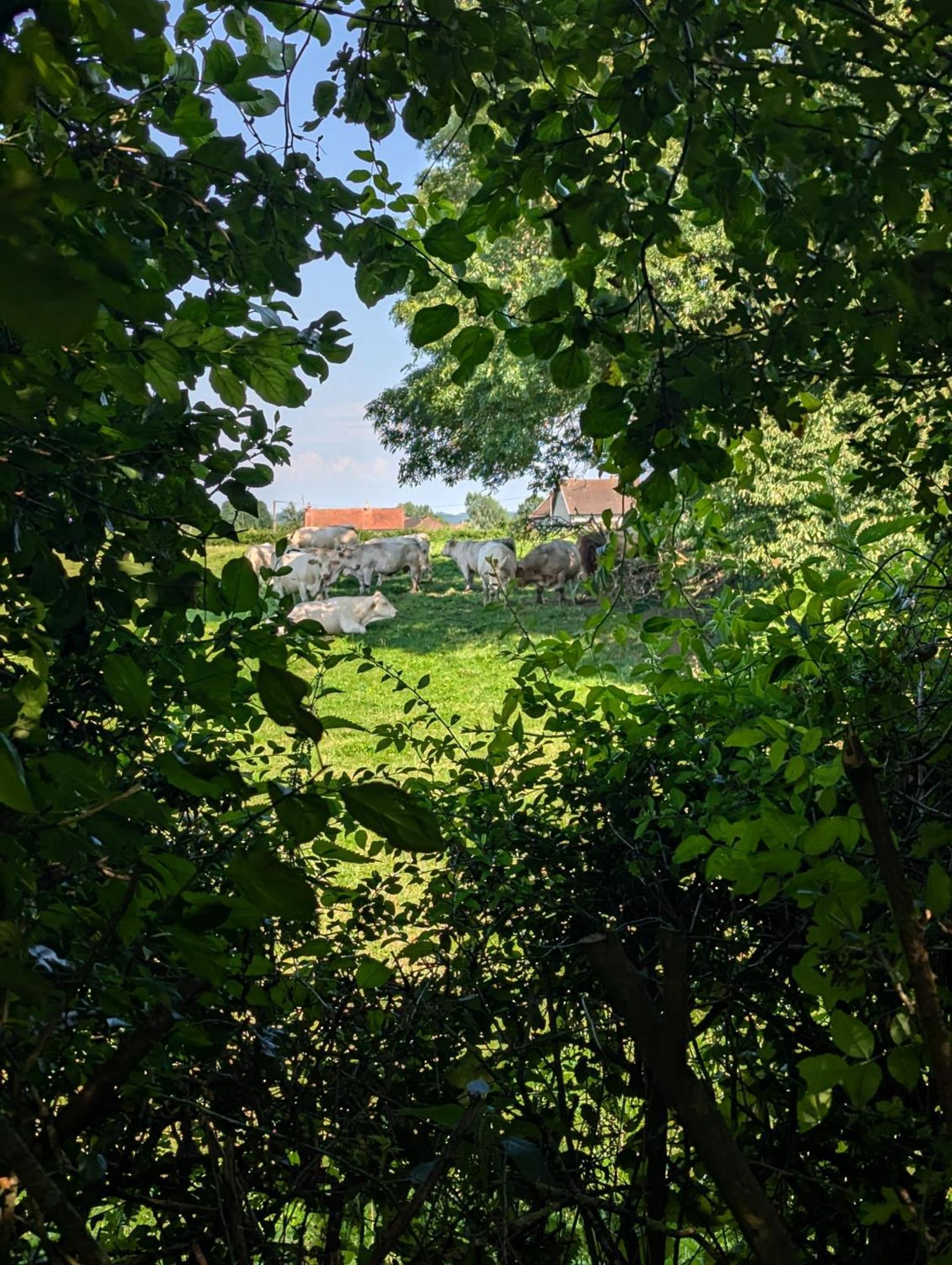 Chez Nick Et Martine Suite Privative Palinges Dış mekan fotoğraf